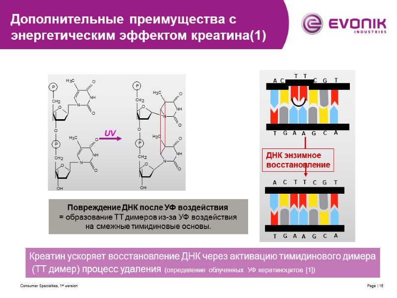 Consumer Specialties, 1st version Page | 15 Креатин ускоряет восстановление ДНК через активацию тимидинового